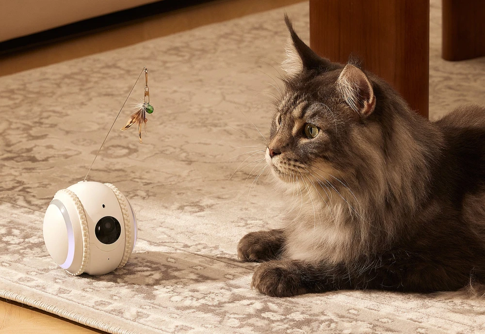 indoor camera pet