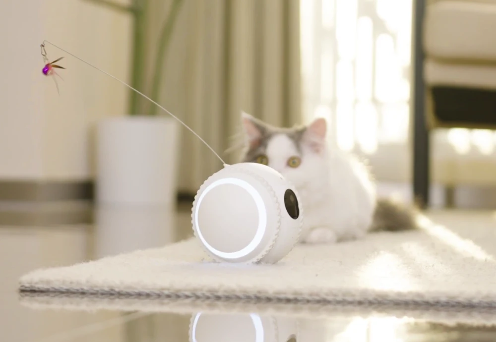 best pet security camera