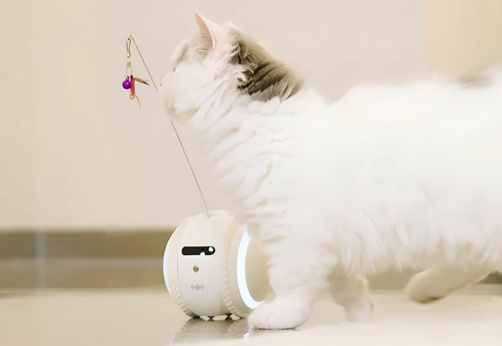 pet video camera monitor